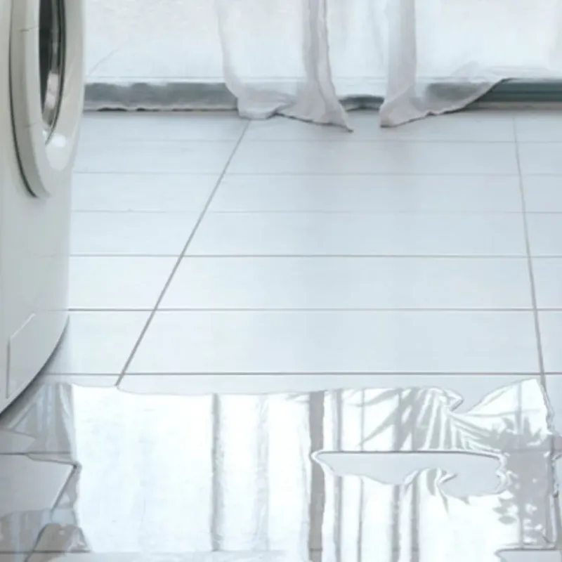 Appliance Leak Cleanup in Floyd County, VA