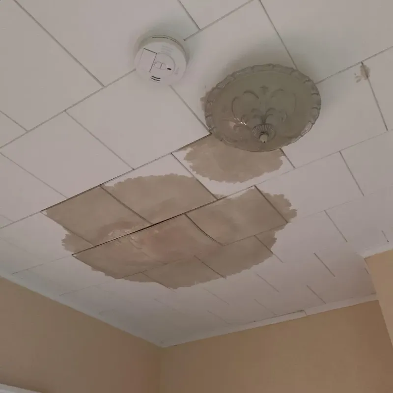 Ceiling Water Damage Repair in Floyd County, VA
