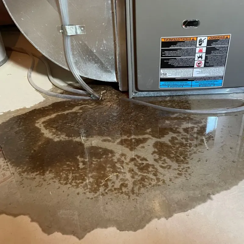 Pipe Burst and Leak Restoration in Floyd County, VA