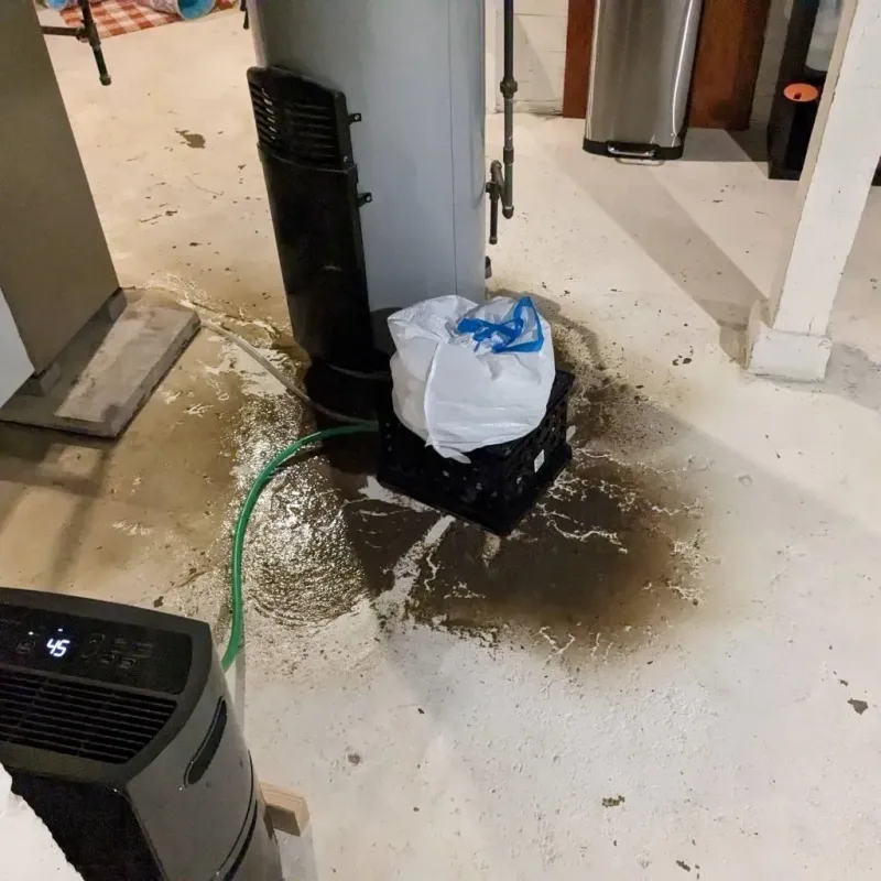 Sewage Backup Cleanup Service in Floyd County, VA